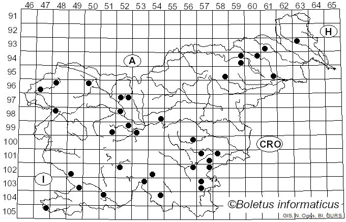 <i>Byssomerulius corium</i> (Pers.) Parmasto (1967)