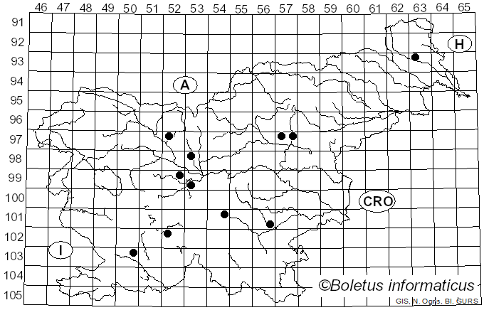 <i>Melanoleuca humilis</i> (Pers.) Pat. (1900)