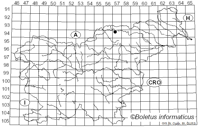 <i>Cliostomum corrugatum</i> (Ach.) Fr. (1849)