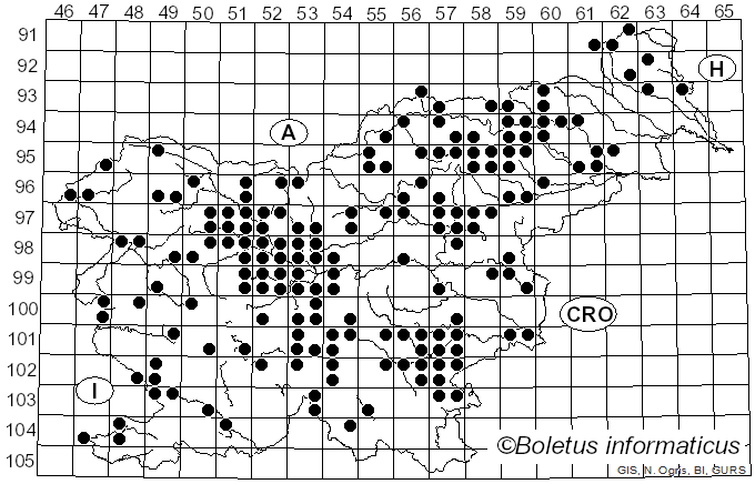 <i>Rhodocollybia maculata</i> (Alb. & Schwein.) Singer (1939)