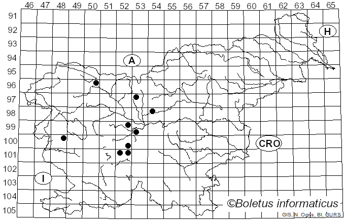 <i>Leptostroma</i> Fr. (1815)