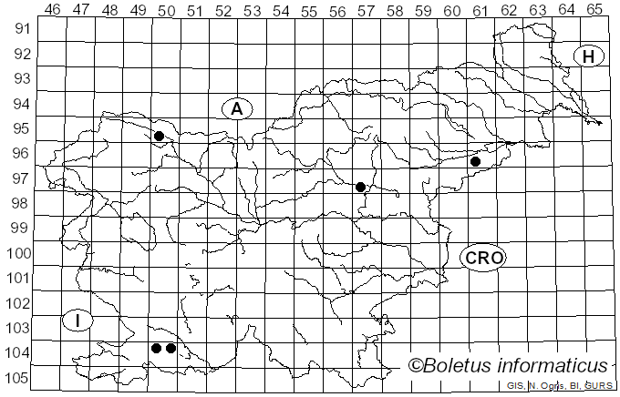 <i>Deconica coprophila</i> (Bull.) P. Karst. (1879)
