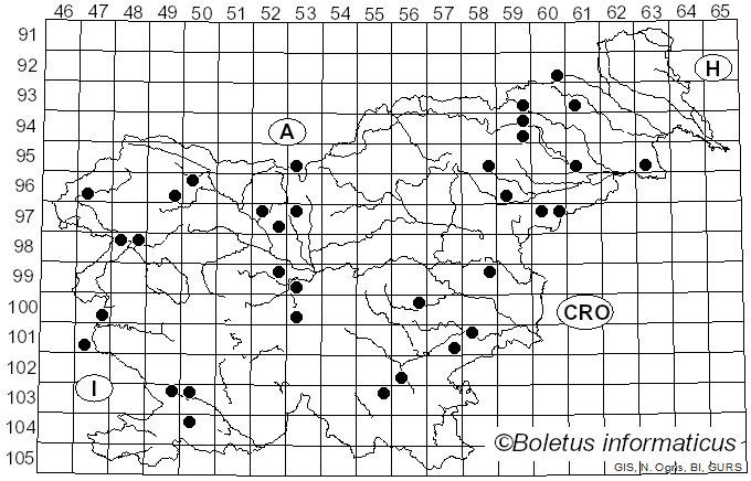 <i>Peniophora cinerea</i> (Pers.) Cooke (1879)
