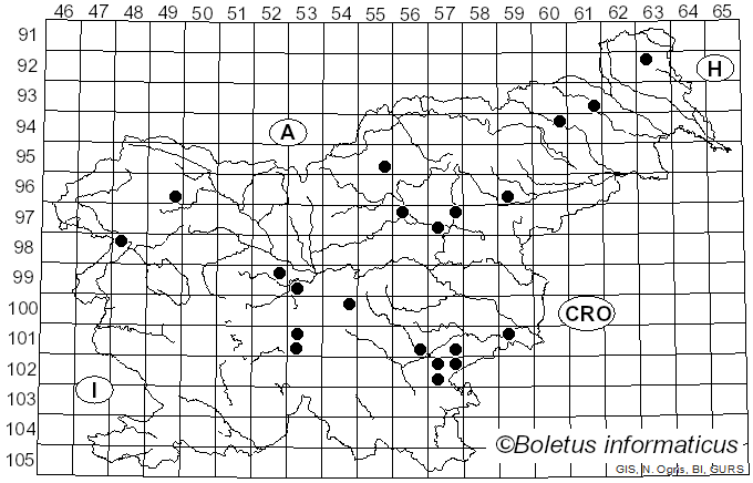 <i>Russula sericatula</i> Romagn. (1958)