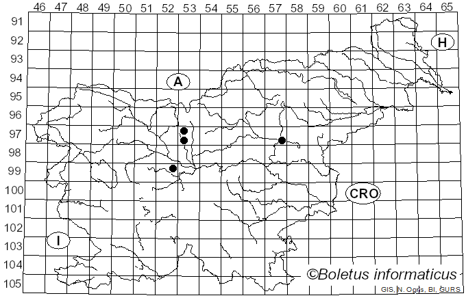 <i>Solenia</i> Pers. (1794)