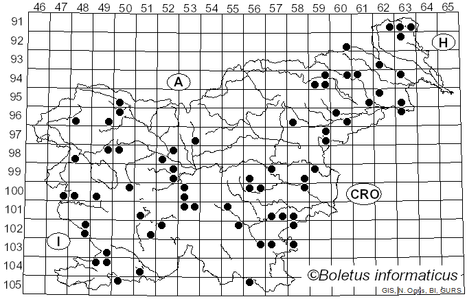 <i>Biscogniauxia</i> Kuntze (1891)