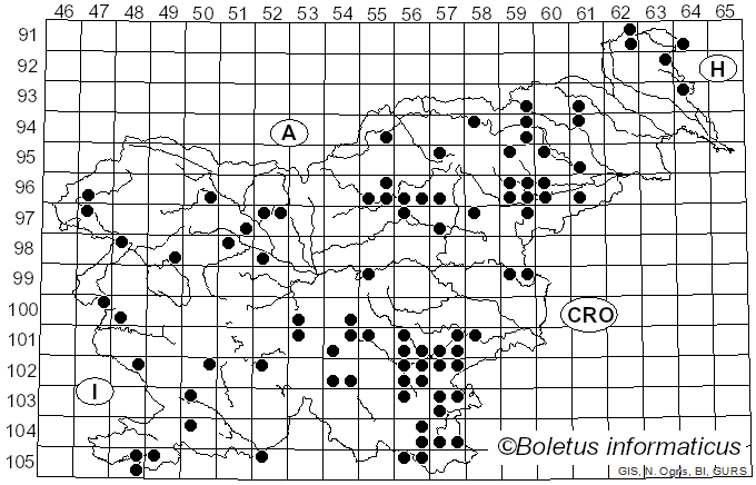 <i>Leccinellum</i> Bresinsky & Manfr. Binder (2003)