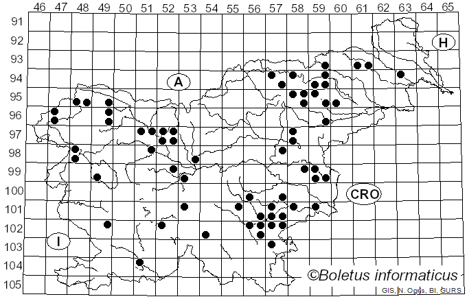 <i>Armillaria borealis</i> Marxm. & Korhonen (1982)