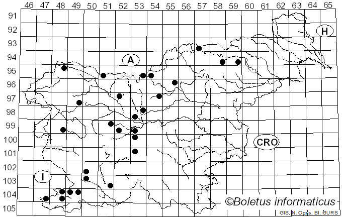 <i>Monochamus galloprovincialis</i> Olivier (1795)