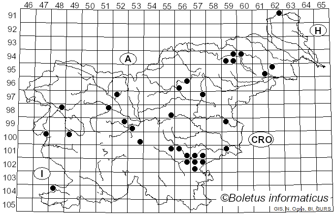 <i>Calonarius citrinus</i> (P.D. Orton) Niskanen & Liimat. (2022)