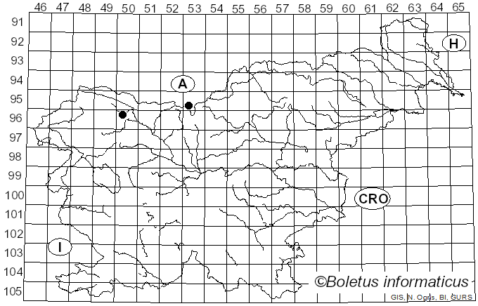 <i>Phellopilus nigrolimitatus</i> (Romell) Niemelä, T. Wagner & M. Fisch. (2001)