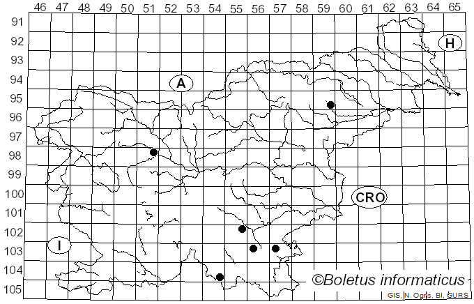 <i>Phaeotremella simplex</i> (H.S. Jacks. & G.W. Martin) Millanes & Wedin (2015)