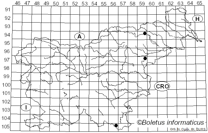 <i>Gymnopus alkalivirens</i> (Singer) Halling (1997)