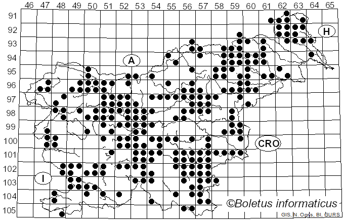 <i>Macrolepiota procera</i> (Scop.) Singer (1948)