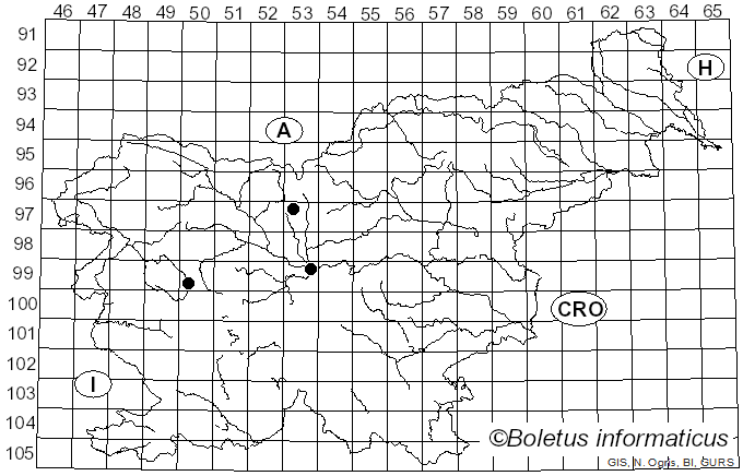 <i>Geastrum coronatum</i> Schaeff. ex J. Schröt. (1889)