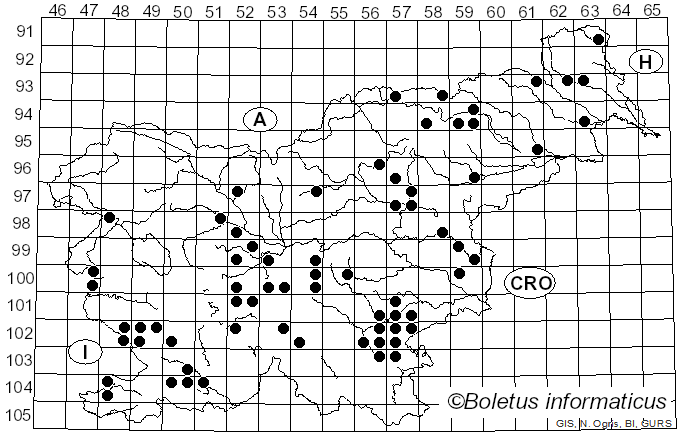 <i>Agaricus urinascens</i> (Jul. Schäff. & F.H. Møller) Singer (1951)