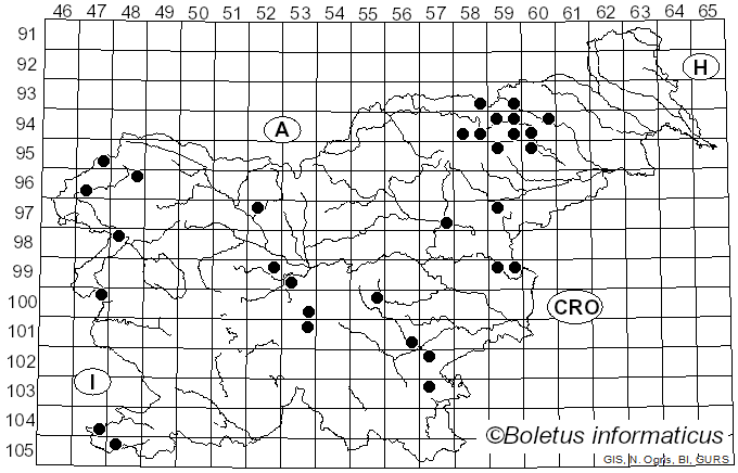 <i>Lepiota erminea</i> (Fr.) P. Kumm. (1874)