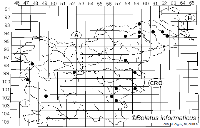 <i>Leucoagaricus subcretaceus</i> Bon (1981)