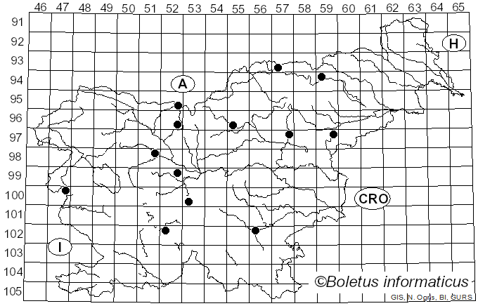<i>Clitocybula</i> (Singer) Singer ex Métrod (1952)