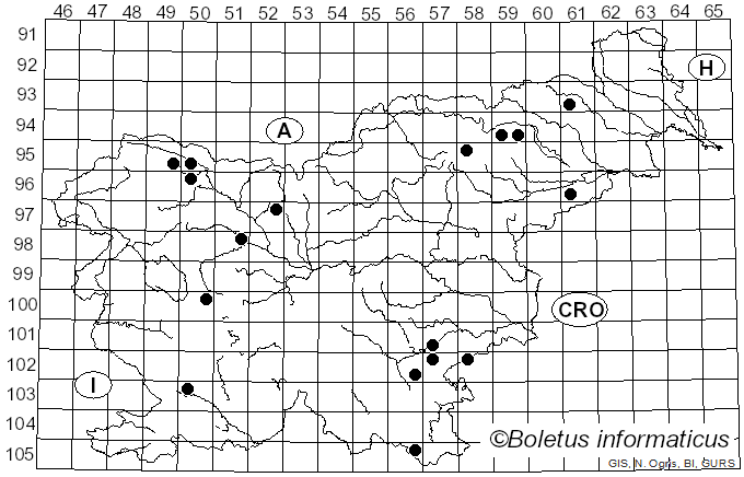 <i>Hydropodia subalpina</i> (Höhn.) Vizzini, Consiglio & M. Marchetti (2022)