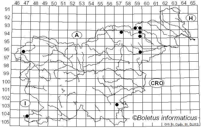 <i>Clitocybe augeana</i> (Mont.) Sacc. (1856)