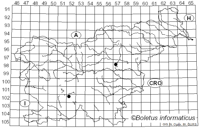 <i>Hebeloma sarcophyllum</i> (Peck) Sacc. (1887)