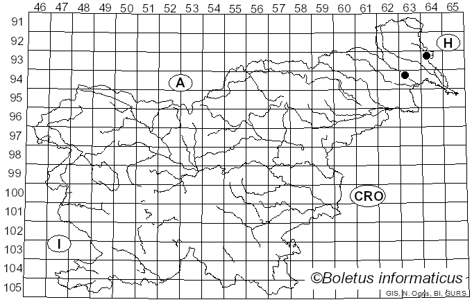 <i>Pleurostoma candollei</i> Tul. & C. Tul. (1863)