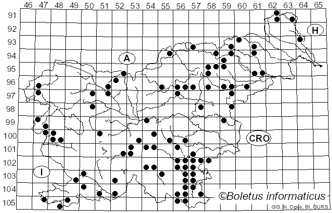 <i>Butyriboletus</i> D. Arora & J.L. Frank (2014)