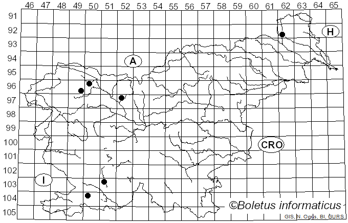 <i>Leucogyrophana mollusca</i> (Fr.) Pouzar (1958)