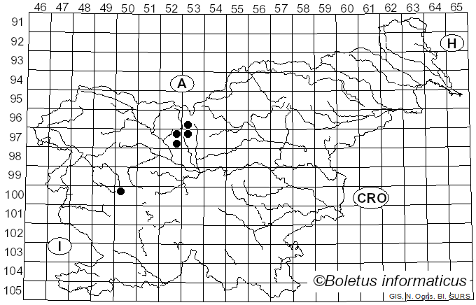<i>Puccinia primulae</i> (DC.) Duby (1830)