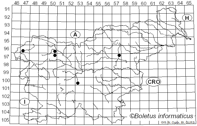 <i>Acrospermum</i> Tode (1790)