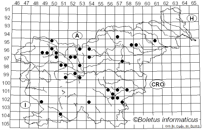 <i>Gerronema</i> Singer (1951)