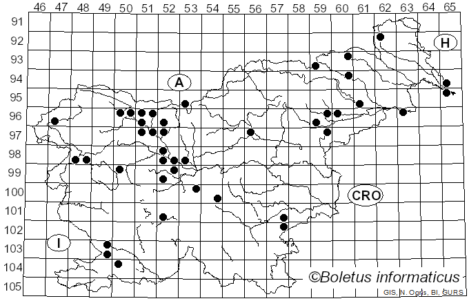 <i>Sarcoscypha austriaca</i> (Beck ex Sacc.) Boud. (1907)