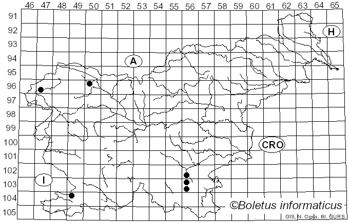 <i>Geoscypha</i> (Cooke) Lambotte (1887)