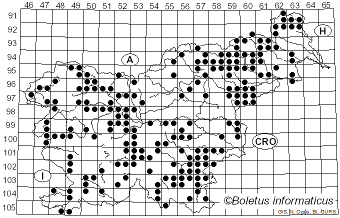 <i>Xylaria</i> Hill ex Schrank (1789)