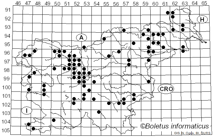 <i>Flammulina</i> P. Karst. (1891)