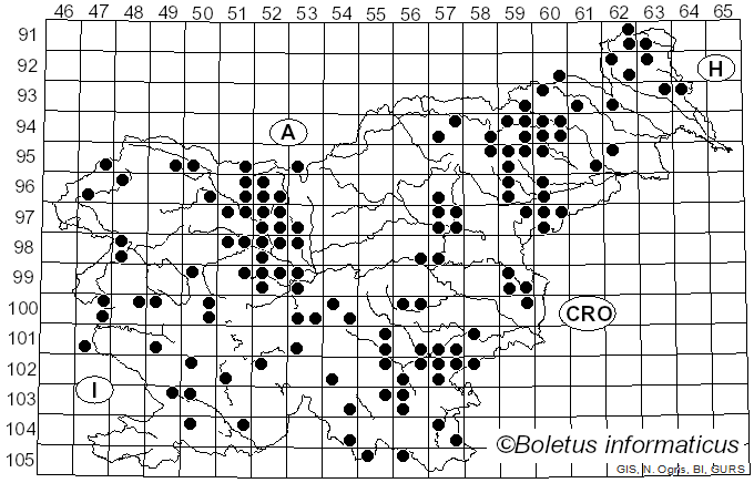 <i>Exidia nigricans</i> (With.) P. Roberts (2009)