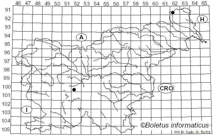 <i>Arge</i> Schrank, 1802