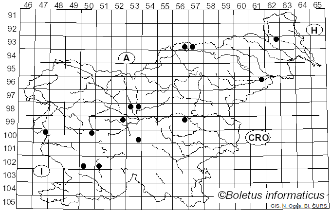 <i>Blumeriella</i> Arx (1961)