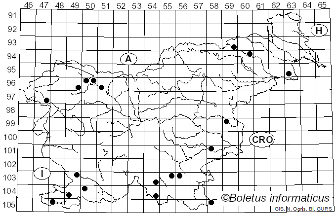 <i>Trechispora</i> P. Karst. (1890)