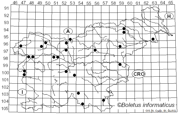 <i>Cystolepiota</i> Singer (1952)