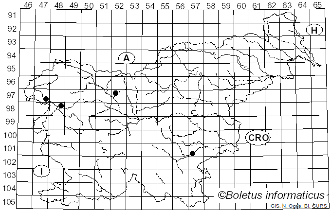 <i>Inocybe margaritispora</i> (Berk.) Sacc. (1887)