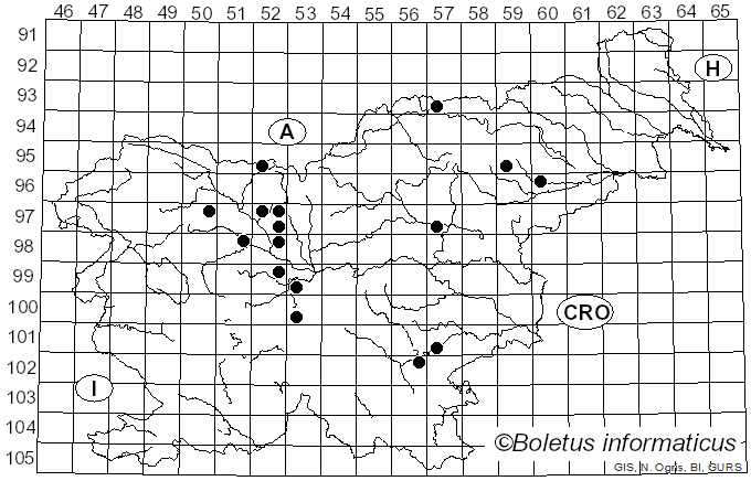 <i>Entocybe</i> T.J. Baroni, V. Hofst. & Largent (2011)