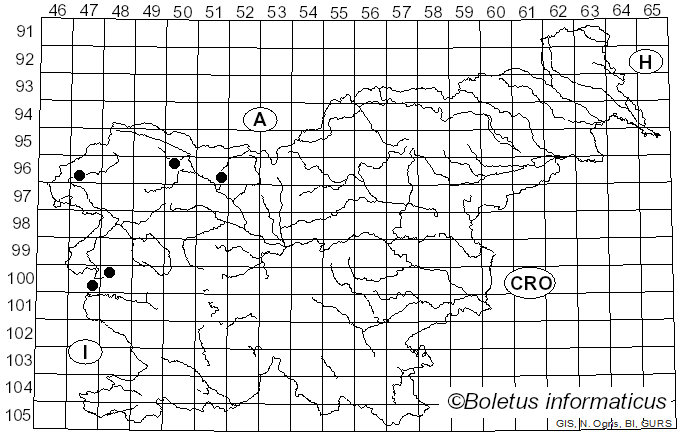 <i>Hypoxylon petriniae</i> M. Stadler & J. Fourn. (2004)
