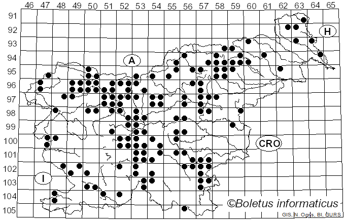 <i>Tricholoma vaccinum</i> (Schaeff.) P. Kumm. (1871)