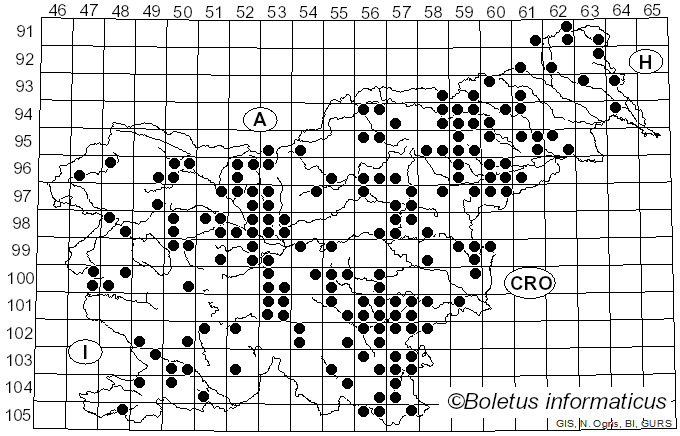 <i>Cyathus</i> Haller (1768)