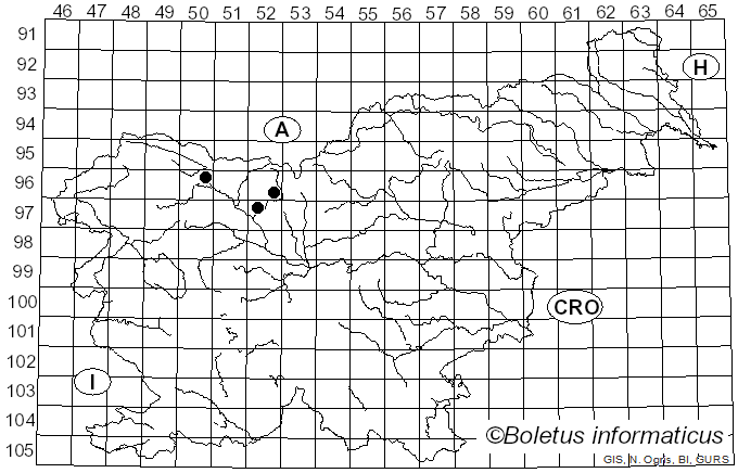 <i>Septoria vincetoxici</i> (Ficinus & C. Schub.) Auersw.