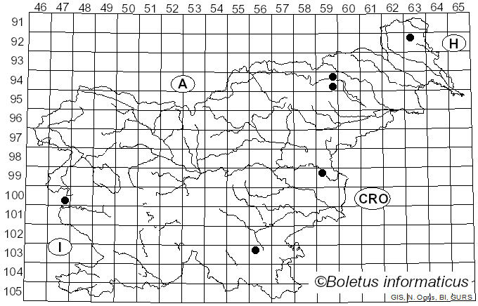 <i>Entoloma pleopodium</i> (Bull.) Urbonas (1986)