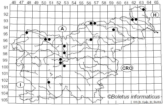 <i>Melampsoridium betulinum</i> (Pers.) Kleb. (1899)
