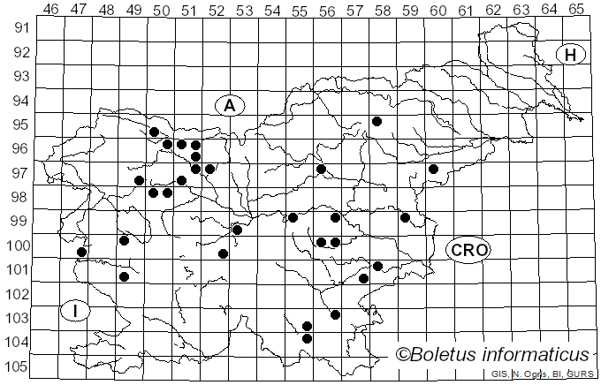 <i>Xylaria carpophila</i> (Pers.) Fr. (1849)